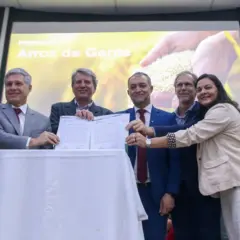 Programa Arroz da Gente é lançado para impulsionar a produção familiar do grão no Brasil