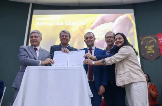 Programa Arroz da Gente é lançado para impulsionar a produção familiar do grão no Brasil