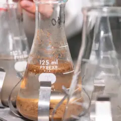 pequenos produtores em Sergipe