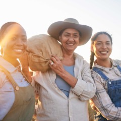 Mato Grosso do Sul bate recorde de vendas da agricultura familiar em 2025