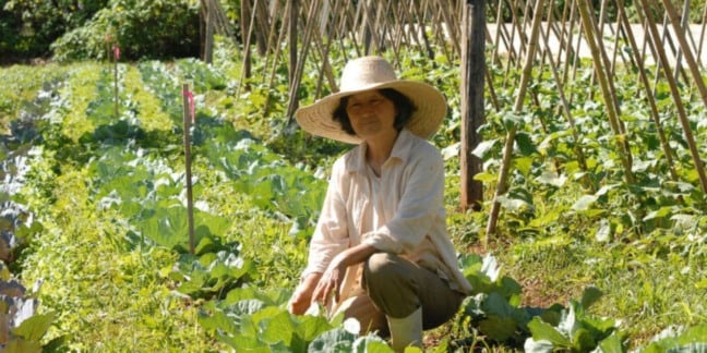 Agricultoras familiares