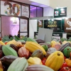Chocolat Festival