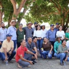 O Governo do Mato Grosso investiu R$ 115,8 milhões para incentivar a agricultura familiar nas cidades integrantes dos consórcios Portal da Amazônia, Vale do Jurema e Vale do Teles Pires, desde 2019.