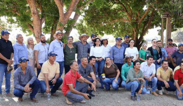 O Governo do Mato Grosso investiu R$ 115,8 milhões para incentivar a agricultura familiar nas cidades integrantes dos consórcios Portal da Amazônia, Vale do Jurema e Vale do Teles Pires, desde 2019.