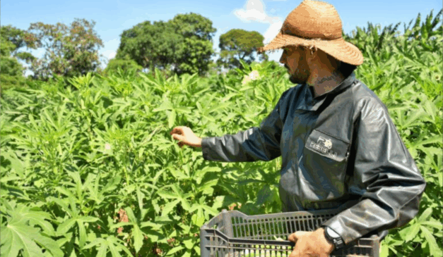 Campo Grande, capital do Mato Grosso do Sul, sancionou a Lei n. 7.454, na última quarta-feira (23), que cria o Selo da Agricultura Familiar, uma certificação que assegura a procedência, identidade e qualidade dos produtos desse segmento