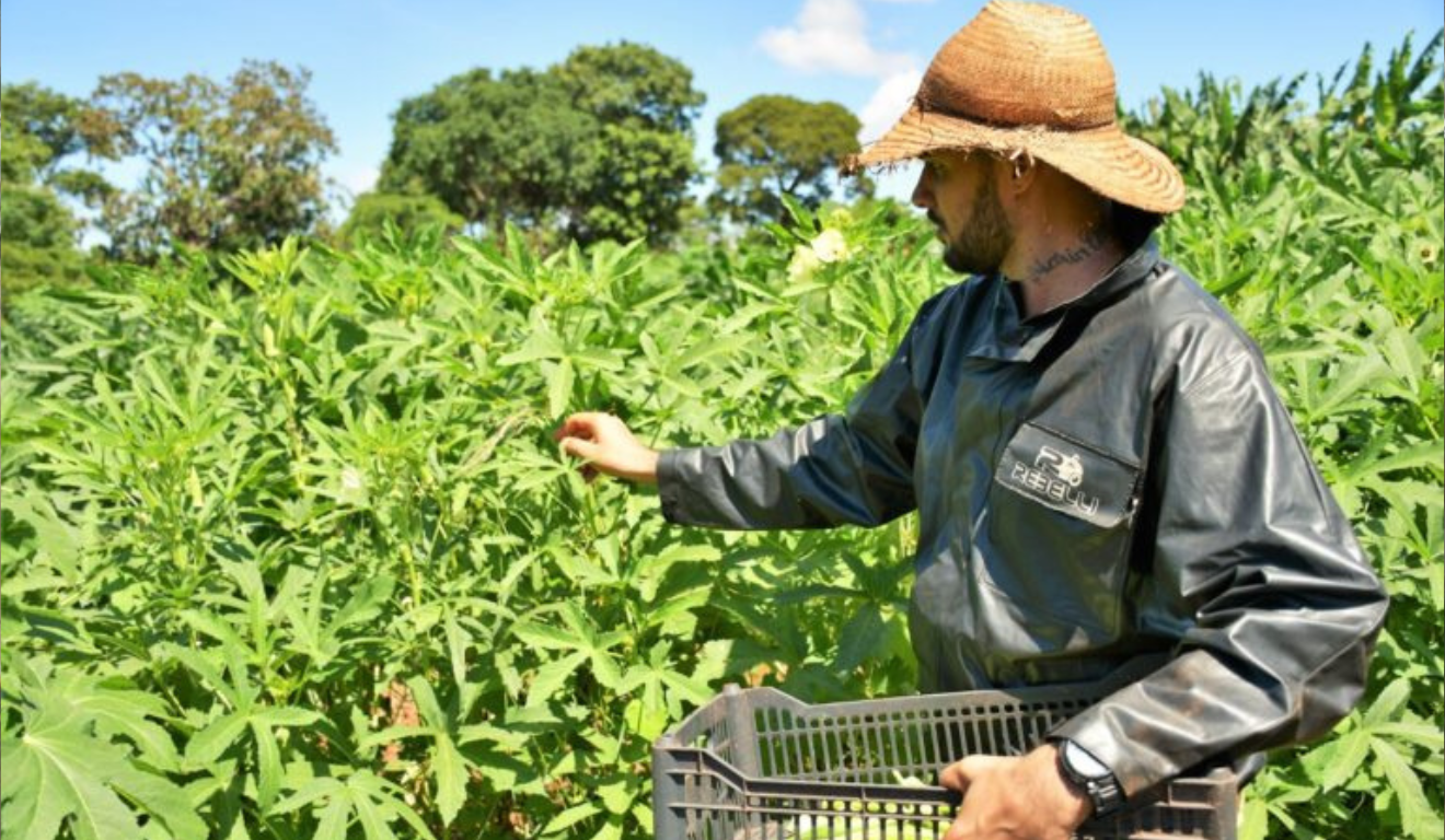 Campo Grande, capital do Mato Grosso do Sul, sancionou a Lei n. 7.454, na última quarta-feira (23), que cria o Selo da Agricultura Familiar, uma certificação que assegura a procedência, identidade e qualidade dos produtos desse segmento