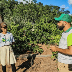 Com apenas 17 anos, Luara Salles, do município de São Pedro da União (MG), já sabe o que quer: seguir os passos da família na cafeicultura. Assim como ela, outros 506 jovens mineiros estão sendo capacitados pelo programa Futuro no Campo, lançado em novembro de 2024 pela Emater-MG, com o objetivo de impulsionar a sucessão familiar no campo, a inovação na produção rural e o protagonismo da juventude.