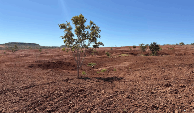 A Secretaria do Estado do Meio Ambiente e Recursos Hídricos do Piauí (Semarh), representada pelo secretário Feliphe Araújo, visitou ontem (21) a cidade de Gilbués (PI), em que é realizado um projeto que aplica hidrogel 100% natural em solos degradados