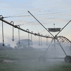 A Semadesc, disponibilizou nesta quarta-feira (23), duas novas cartilhas com orientações sobre o MS Irriga, programa estadual de irrigação do Mato Grosso do Sul