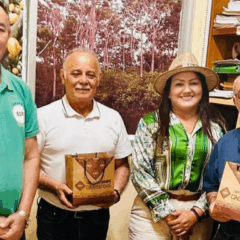 O Governo do Amapá, através de uma equipe de técnicos do setor primário, alinhou uma série de atividades diretas com a Comissão Executiva do Plano da Lavoura Cacaueira (Ceplac/PA), do estado do Pará, com objetivo de dinamizar a cadeia do cacau entre os estados.