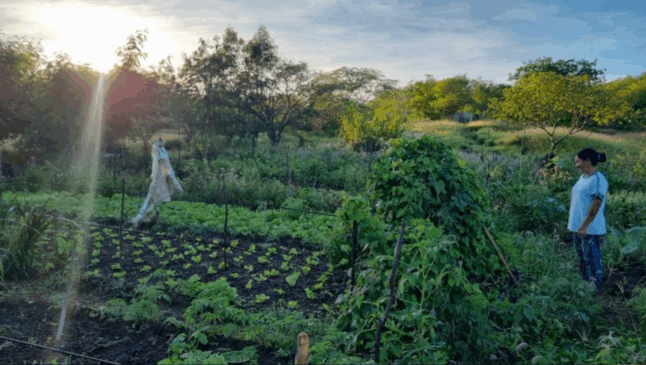 Protagonismo feminino no agro -14ª ExpoZabelê