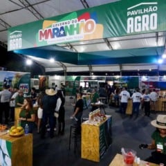 Expoimp