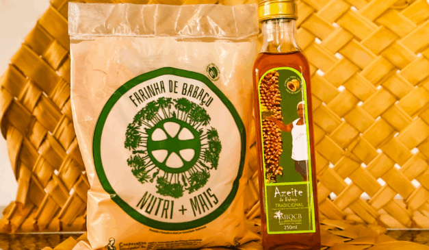 Programa da SAF impulsiona quebradeiras de coco no Piauí e amplia produção de azeite de babaçu