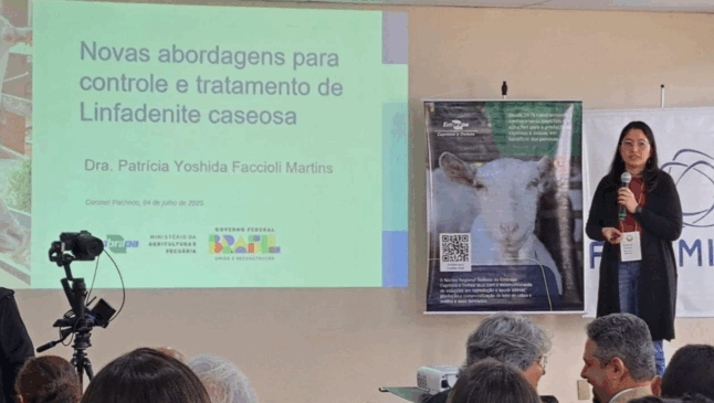 Foto:  Izabel Carneiro/Embrapa 