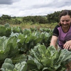 Mulheres agricultoras