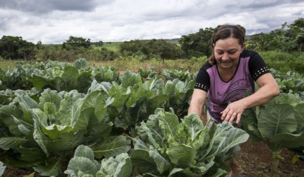 Mulheres agricultoras