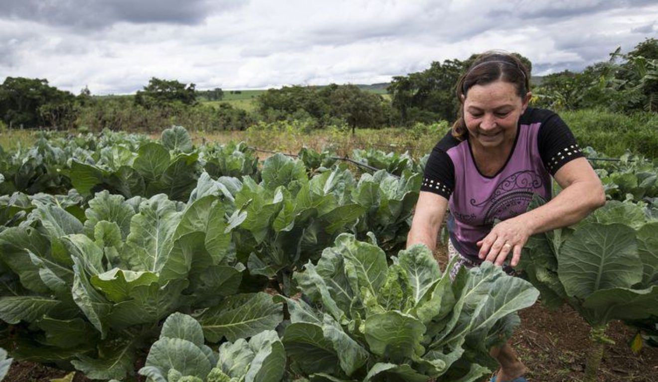 Mulheres agricultoras