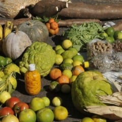 agricultura familiar (2)