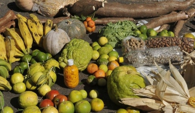 agricultura familiar (2)