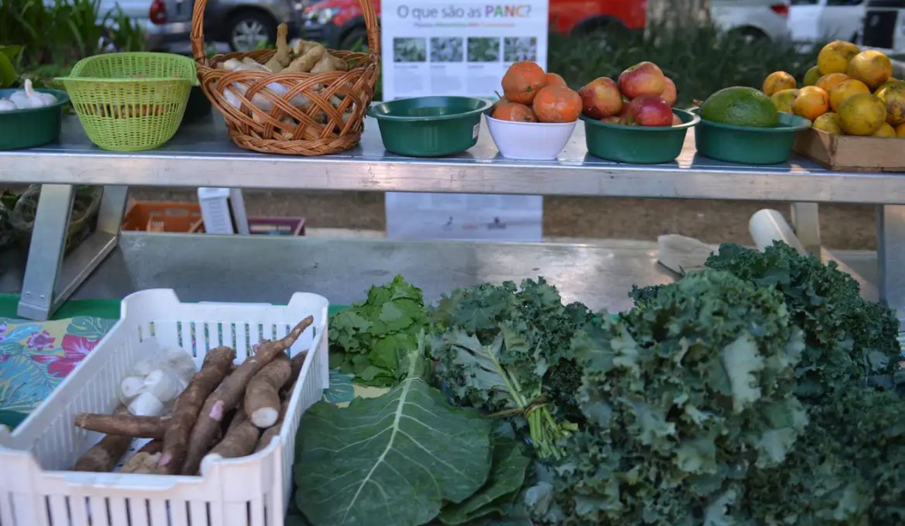 alimentos orgânicos