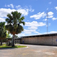 embrapa