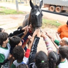 expoAgro