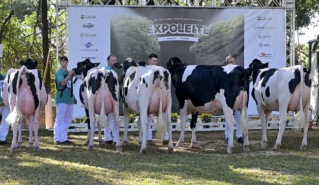 expoleite