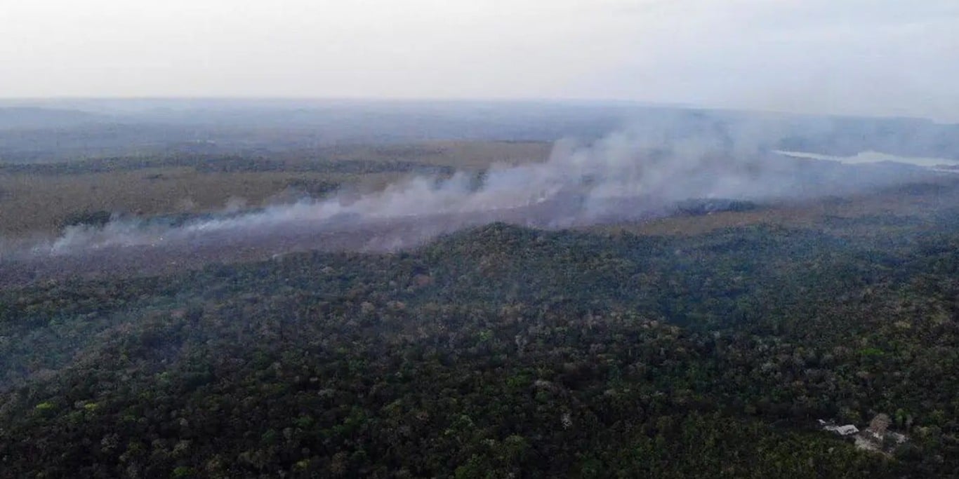 incêndios zumbis