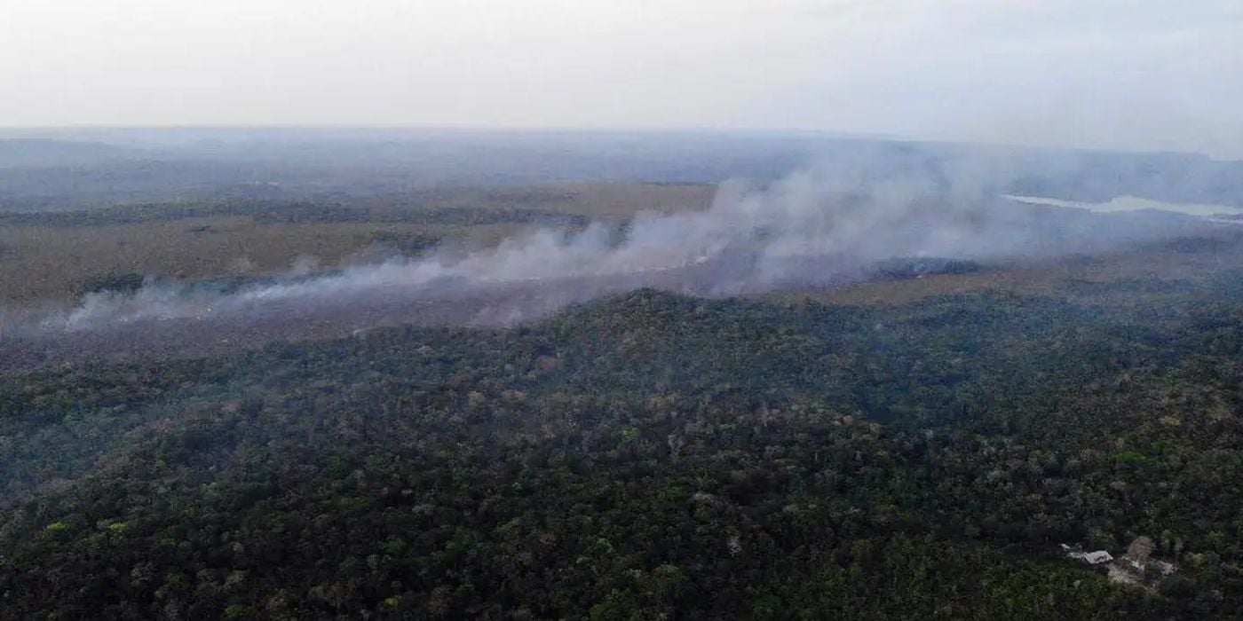 incêndios zumbis