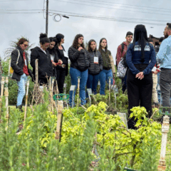 2º Show Agroecológico na Vital promove integração entre ciência, comunidade e sustentabilidade