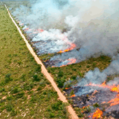 O Governo do Mato Grosso do Sul suspendeu, na última sexta-feira (1º), a queima controlada e queima prescrita (MIF) em todo o território da unidade federativa até 30 de novembro