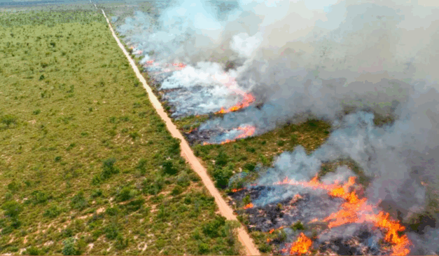 O Governo do Mato Grosso do Sul suspendeu, na última sexta-feira (1º), a queima controlada e queima prescrita (MIF) em todo o território da unidade federativa até 30 de novembro