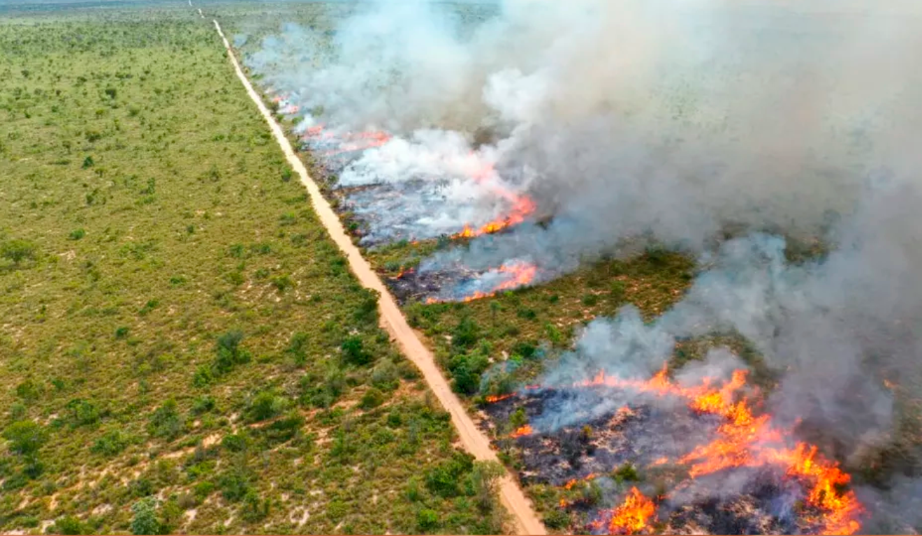 O Governo do Mato Grosso do Sul suspendeu, na última sexta-feira (1º), a queima controlada e queima prescrita (MIF) em todo o território da unidade federativa até 30 de novembro