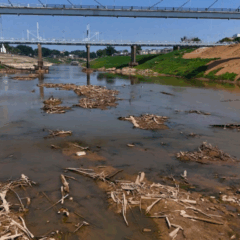 O governo do Acre decretou, ontem (6), que o Estado está em situação de emergência em decorrência da estiagem e do aumento das temperaturas