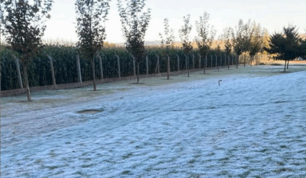 O Mato Grosso do Sul, através do Centro de Monitoramento do Tempo e do Clima (Cemtec/MS), alertou para uma nova onda de frio no fim de semana do Dia dos Pais