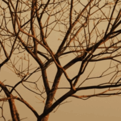 O Centro de Informações Meteorológicas e Hidrológicas de Goiás (Cimehgo) manteve o estado em alerta no último fim de semana para incêndios, em decorrência da estiagem frequente