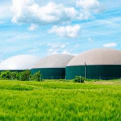 O Governo de Goiás vai investir até R$ 2 milhões no financiamento de projetos de transição energética no campo