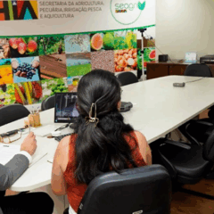 A Secretaria da Agricultura da Bahia (Seagri) e a Agência de Defesa Agropecuária do Estado (Adab), avançaram a parceria com a Fundação Zayed e a Al Foah Company, dos Emirados Árabes Unidos, para lançar um projeto pioneiro de produção de tâmaras no semiárido do estado