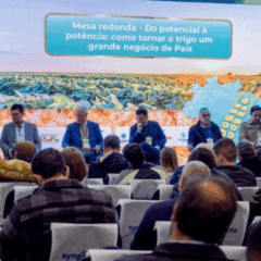 A Confederação da Agricultura e Pecuária do Brasil (CNA) participa do Fórum Nacional do Trigo e Soja 2025, realizado entre os dias 12 a 14 de agosto, em Passo Fundo, no Rio Grande do Sul