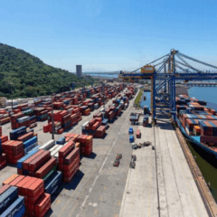Os portos brasileiros registraram o melhor semestre da história neste ano, com o registro recorde de 653 milhões de toneladas embarcadas no período, impulsionados principalmente pela retomada das atividades do Porto de Itajaí