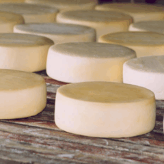 A queijaria Fazenda Cava, localizada na cidade de Serro, em Minas Gerais, foi certificada, nesta terça-feira (19), com apoio da Empresa de Assistência Técnica e Extensão Rural do Estado de Minas Gerais (Emater-MG).