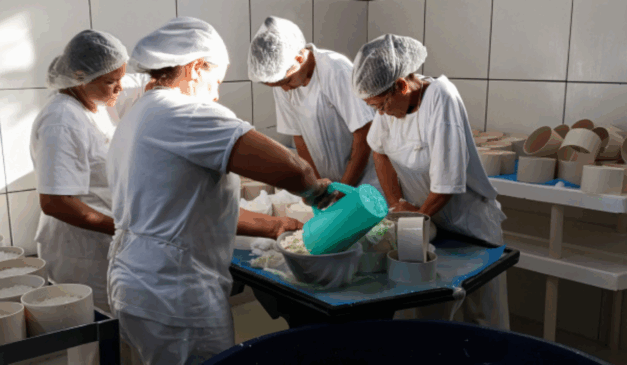 O Instituto Mineiro de Agropecuária (IMA), de Minas Gerais, é o responsável pela orientação para os produtores legalizarem seus produtos derivados da pecuária.