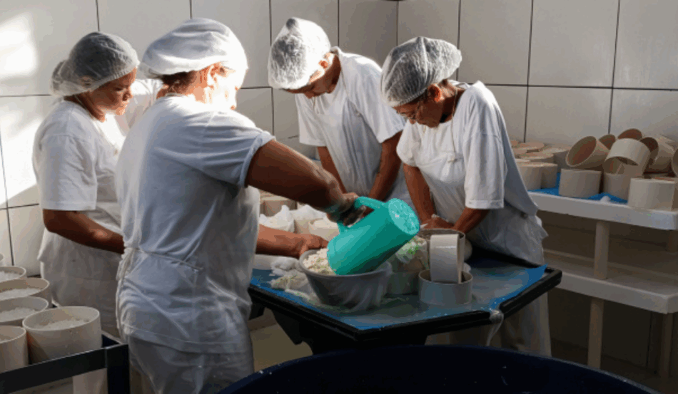 O Instituto Mineiro de Agropecuária (IMA), de Minas Gerais, é o responsável pela orientação para os produtores legalizarem seus produtos derivados da pecuária.