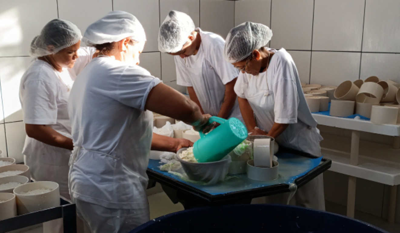 O Instituto Mineiro de Agropecuária (IMA), de Minas Gerais, é o responsável pela orientação para os produtores legalizarem seus produtos derivados da pecuária. O Instituto Mineiro de Agropecuária (IMA), de Minas Gerais, é o responsável pela orientação para os produtores legalizarem seus produtos derivados da pecuária.