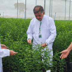 A Agência Goiana de Assistência Técnica, Extensão Rural e Pesquisa Agropecuária (Emater-GO) abriu inscrições para o Prêmio Goiás Agro, que reconhece e valoriza ações inovadoras criadas por prefeituras para impulsionar o desenvolvimento rural no estado