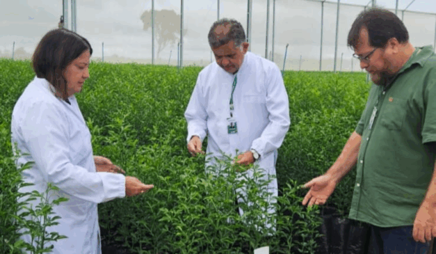 A Agência Goiana de Assistência Técnica, Extensão Rural e Pesquisa Agropecuária (Emater-GO) abriu inscrições para o Prêmio Goiás Agro, que reconhece e valoriza ações inovadoras criadas por prefeituras para impulsionar o desenvolvimento rural no estado