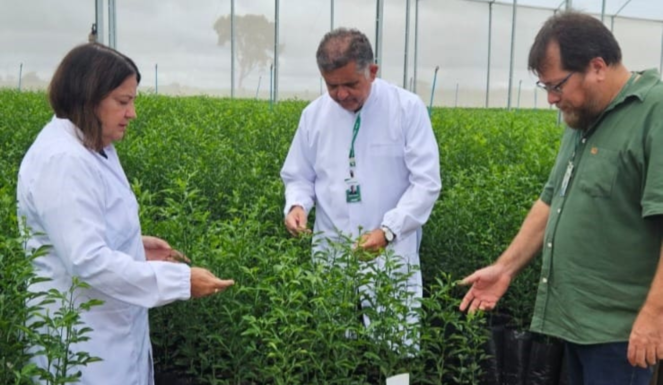 A Agência Goiana de Assistência Técnica, Extensão Rural e Pesquisa Agropecuária (Emater-GO) abriu inscrições para o Prêmio Goiás Agro, que reconhece e valoriza ações inovadoras criadas por prefeituras para impulsionar o desenvolvimento rural no estado A Agência Goiana de Assistência Técnica, Extensão Rural e Pesquisa Agropecuária (Emater-GO) abriu inscrições para o Prêmio Goiás Agro, que reconhece e valoriza ações inovadoras criadas por prefeituras para impulsionar o desenvolvimento rural no estado