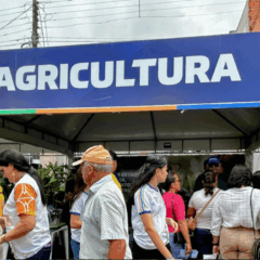 A Secretaria de Estado da Agricultura, Desenvolvimento Agrário e da Pesca (Seagri) realizou, na última sexta-feira (22), uma entrega de sementes, mudas, além de outros serviços na cidade de Graccho Cardoso, no médio sertão do Sergipe