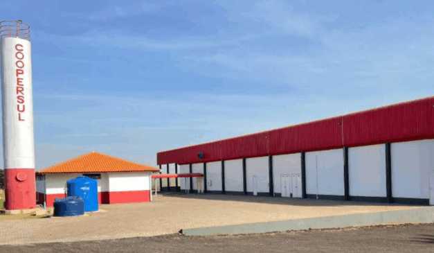 A Cooperativa da Agricultura Familiar da Região Noroeste do Paraná (Coopersul) inaugurou, na última quarta-feira (27), um frigorífico de peixes em Cruzeiro do Sul (PR)