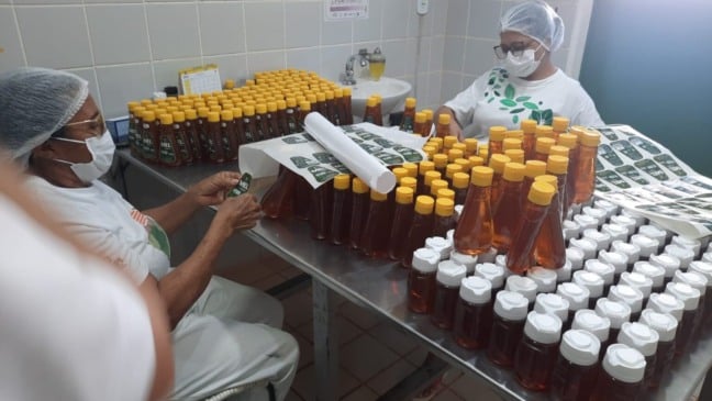 Piauí busca novos mercados para exportar a produção de mel do estado